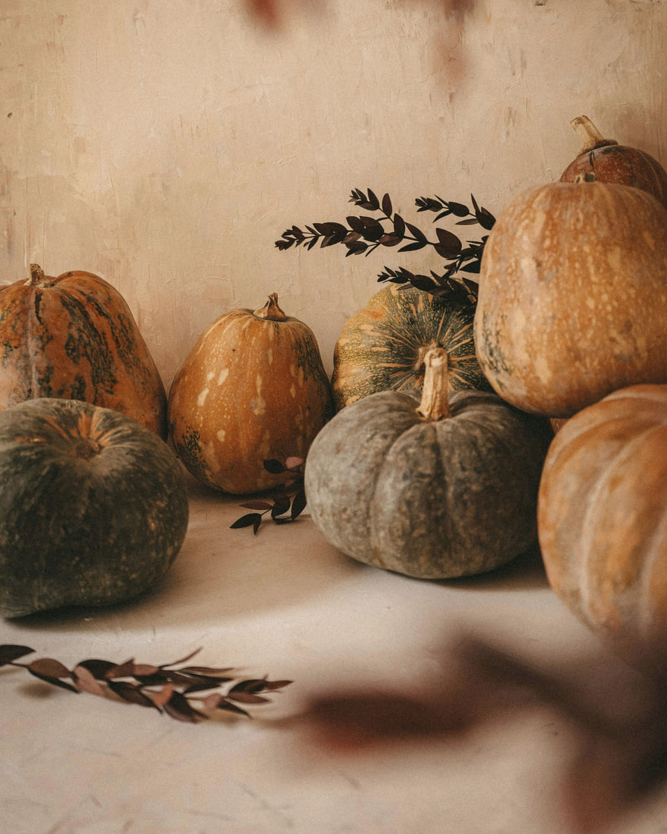 A cluster of muted heirloom pumpkins and dried leaves against a warm plaster wall.
